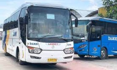 Damri Lampung siapkan 102 bus pada liburan Natal dan Tahun Baru