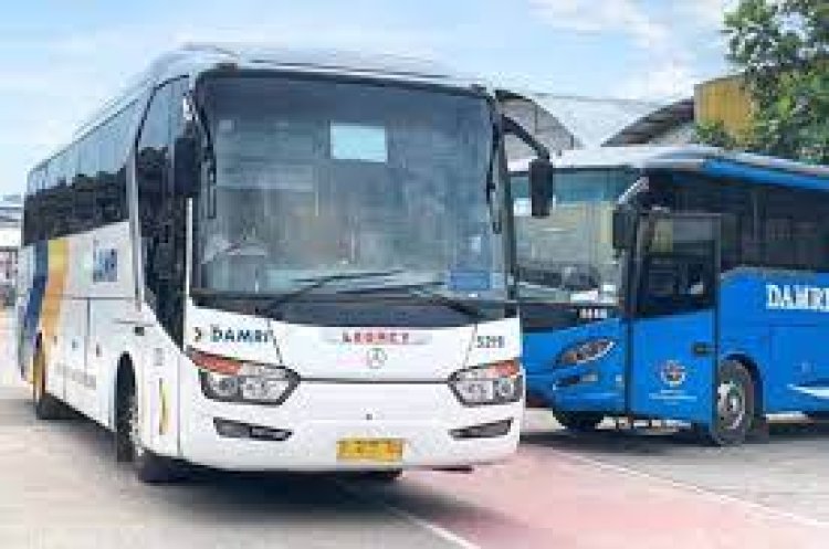 Damri Lampung siapkan 102 bus pada liburan Natal dan Tahun Baru